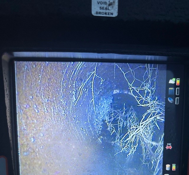 Root Damage in Preston: How Tree Roots Can Wreak Havoc on Your Drains
